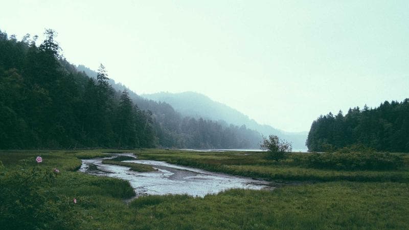 AI Environment Creation for Film